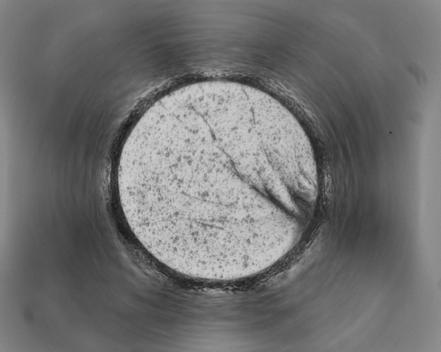 X0000111930592200909071240