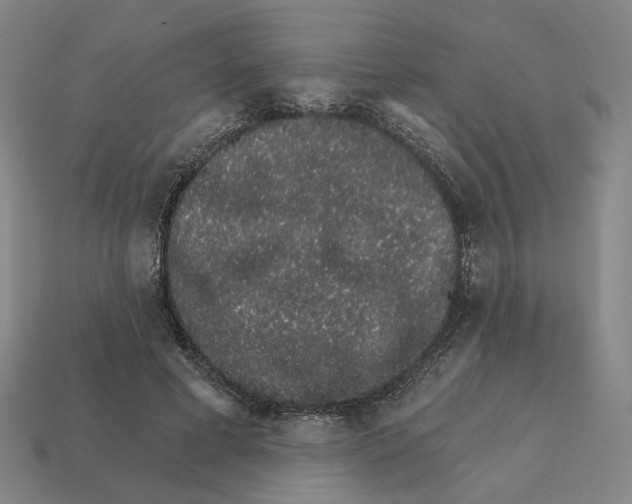 X0000111930593200909071240