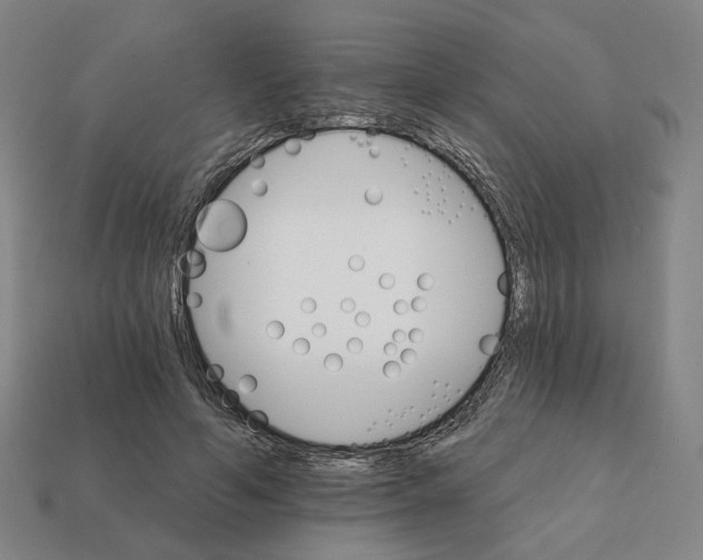 X0000111930594200909071240