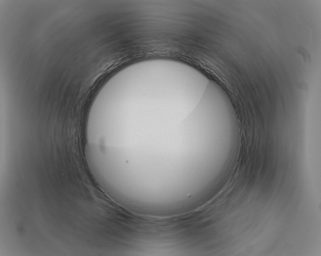 X0000111930595200909071240