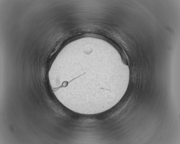 X0000111930597200909071240