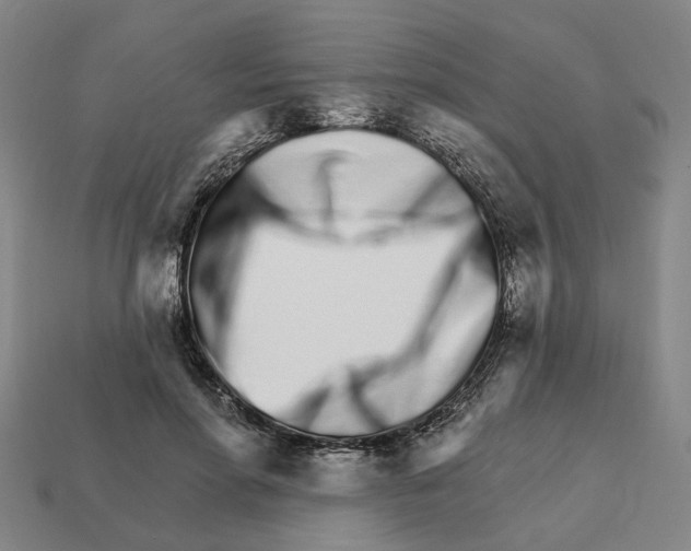 X0000111930598200909071240