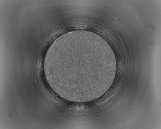 X0000111930600200909071240