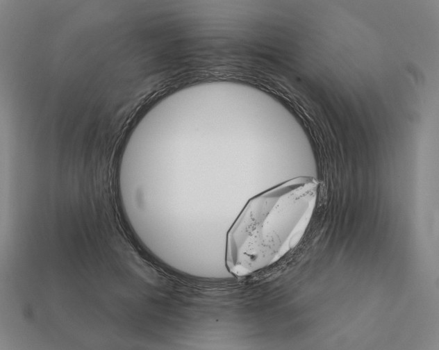 X0000111930601200909071240