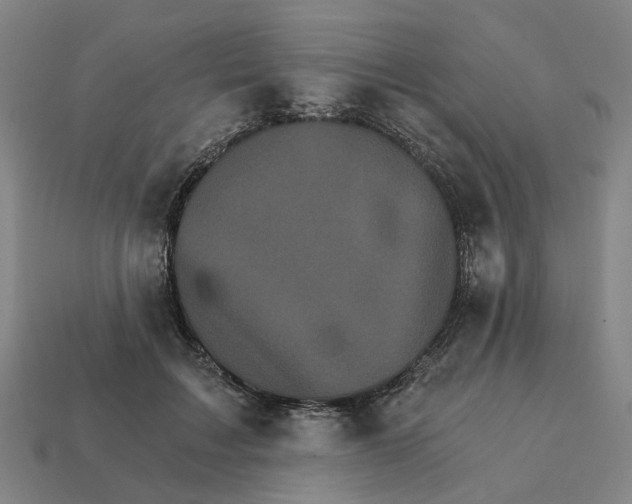 X0000111930603200909071240