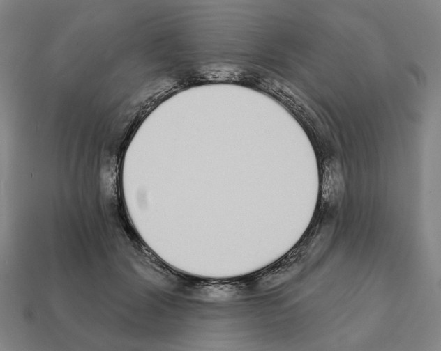 X0000111930604200909071240