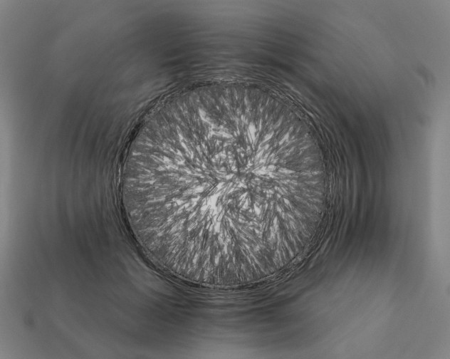 X0000111930605200909071240