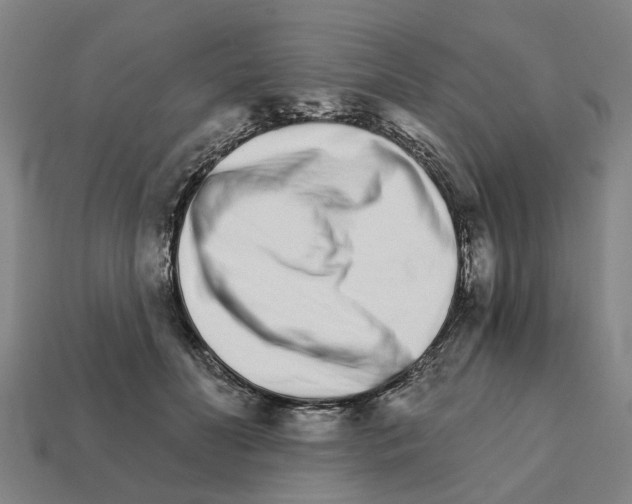 X0000111930606200909071240