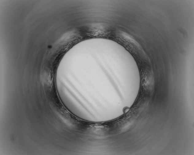 X0000111930607200909071240