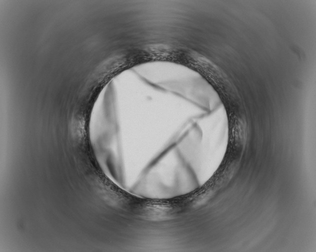 X0000111930610200909071240