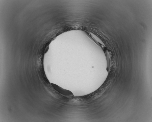 X0000111930611200909071240