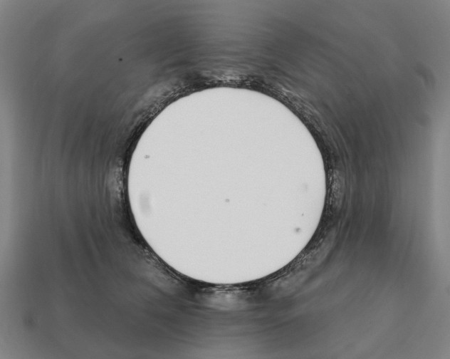 X0000111930612200909071240