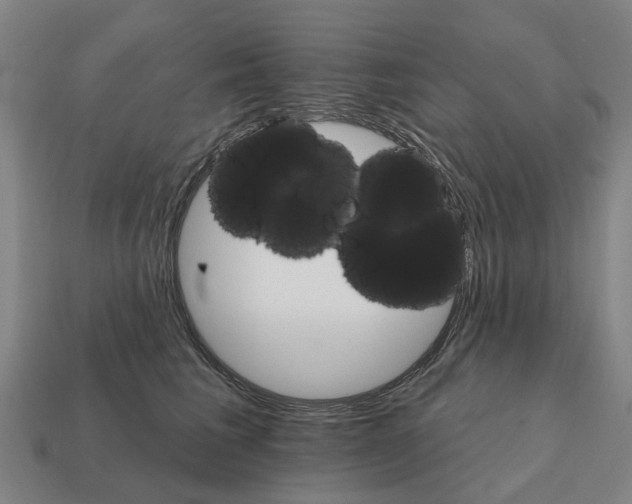 X0000111930613200909071240