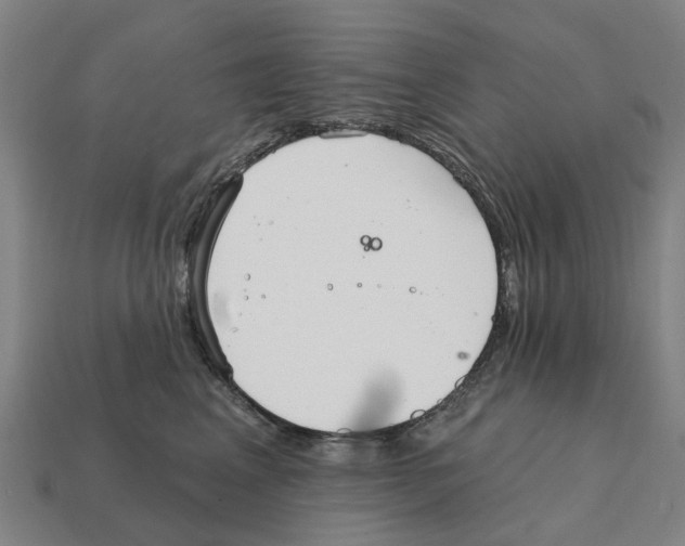 X0000111930617200909071240