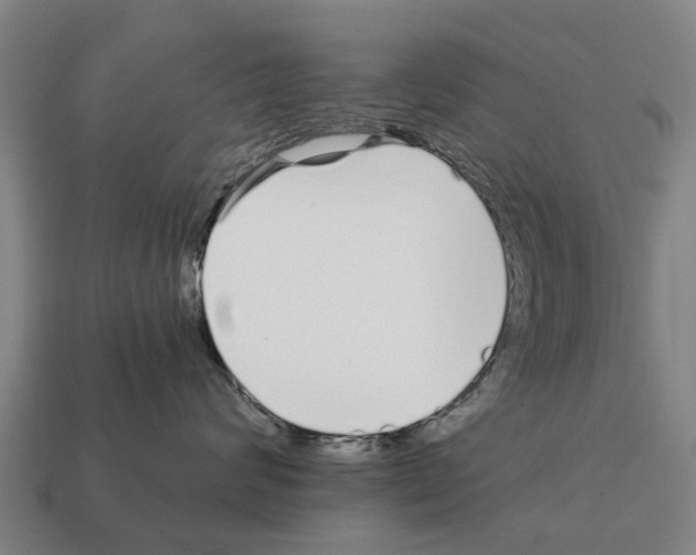 X0000111930624200909071240