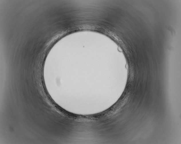 X0000111930625200909071239