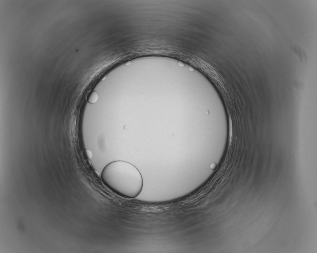 X0000111930627200909071239