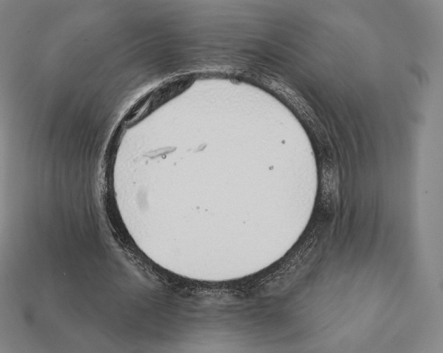 X0000111930628200909071239