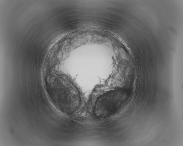 X0000111930629200909071239