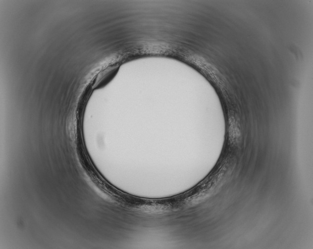 X0000111930630200909071239