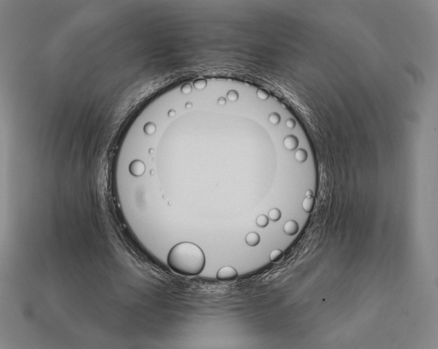 X0000111930631200909071239