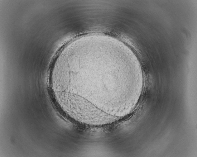 X0000111930632200909071239