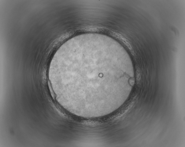 X0000111930633200909071239