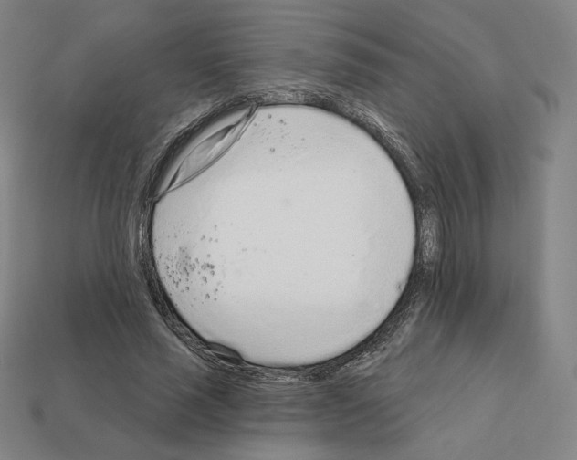 X0000111930637200909071239