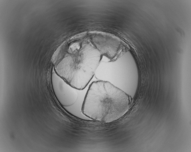 X0000111930641200909071239