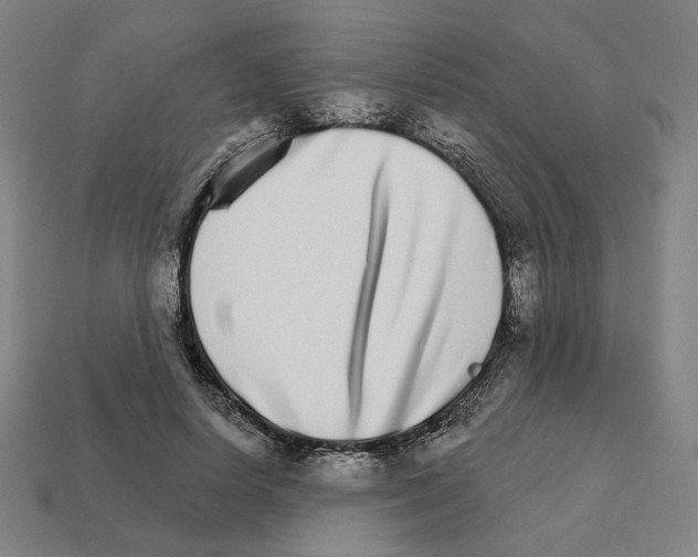 X0000111930642200909071239