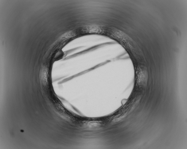 X0000111930643200909071239