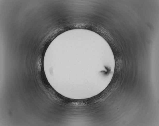 X0000111930644200909071239