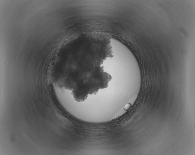 X0000111930646200909071239