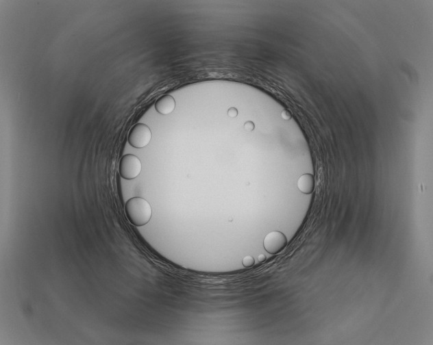 X0000111930650200909071239