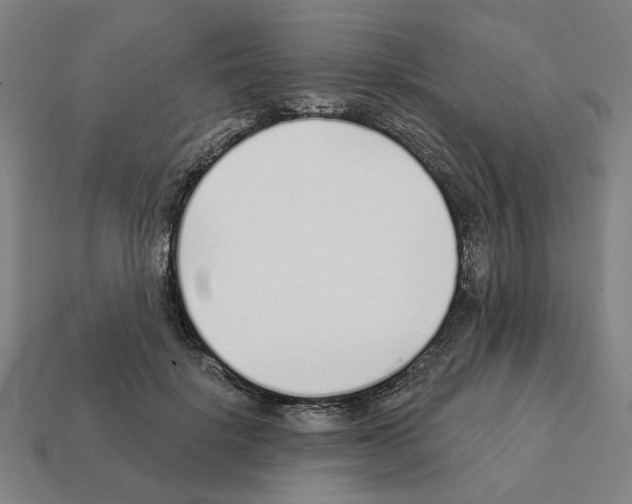 X0000111930652200909071239