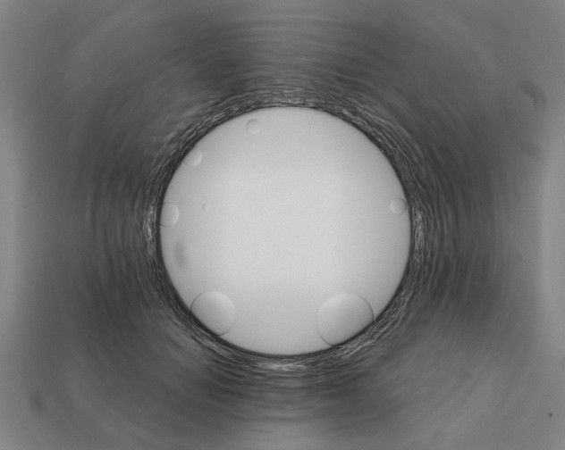 X0000111930654200909071239