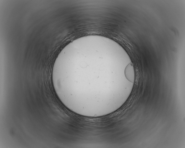 X0000111930655200909071239