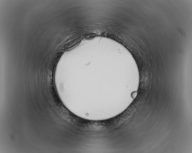 X0000111930656200909071239