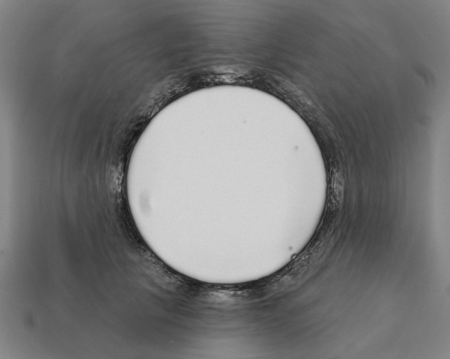 X0000111930657200909071239