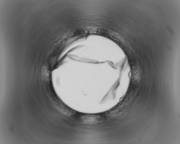 X0000111930661200909071240