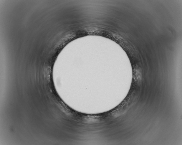 X0000111930664200909071240