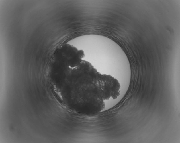 X0000111930666200909071240