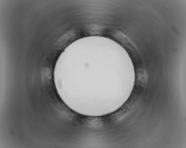 X0000111930667200909071240