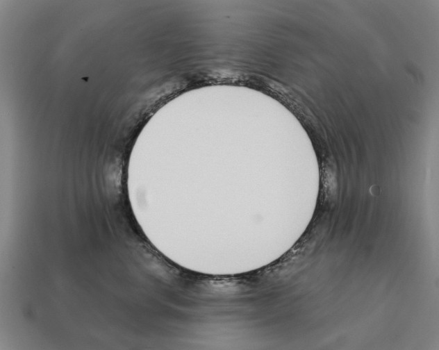 X0000111930668200909071240