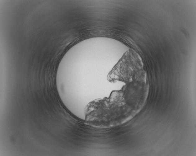 X0000111930669200909071240