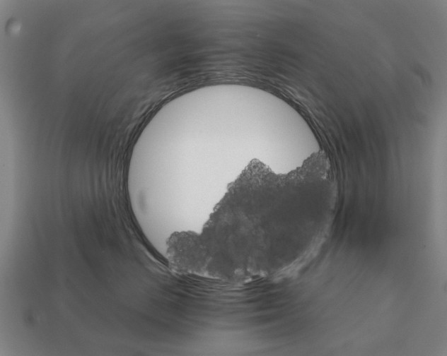 X0000111930670200909071240