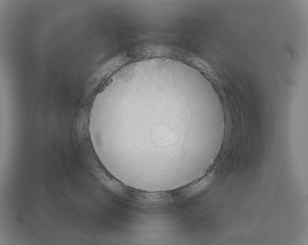 X0000111930672200909071240