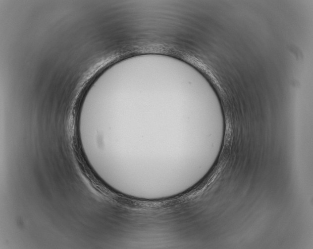 X0000111930674200909071239