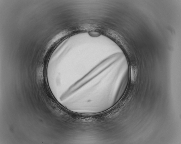 X0000111930675200909071239