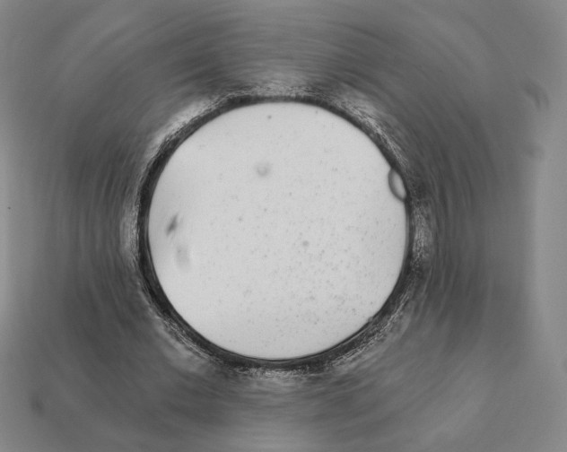 X0000111930677200909071239